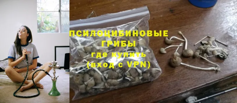 Галлюциногенные грибы Psilocybine cubensis  цены   Усинск 